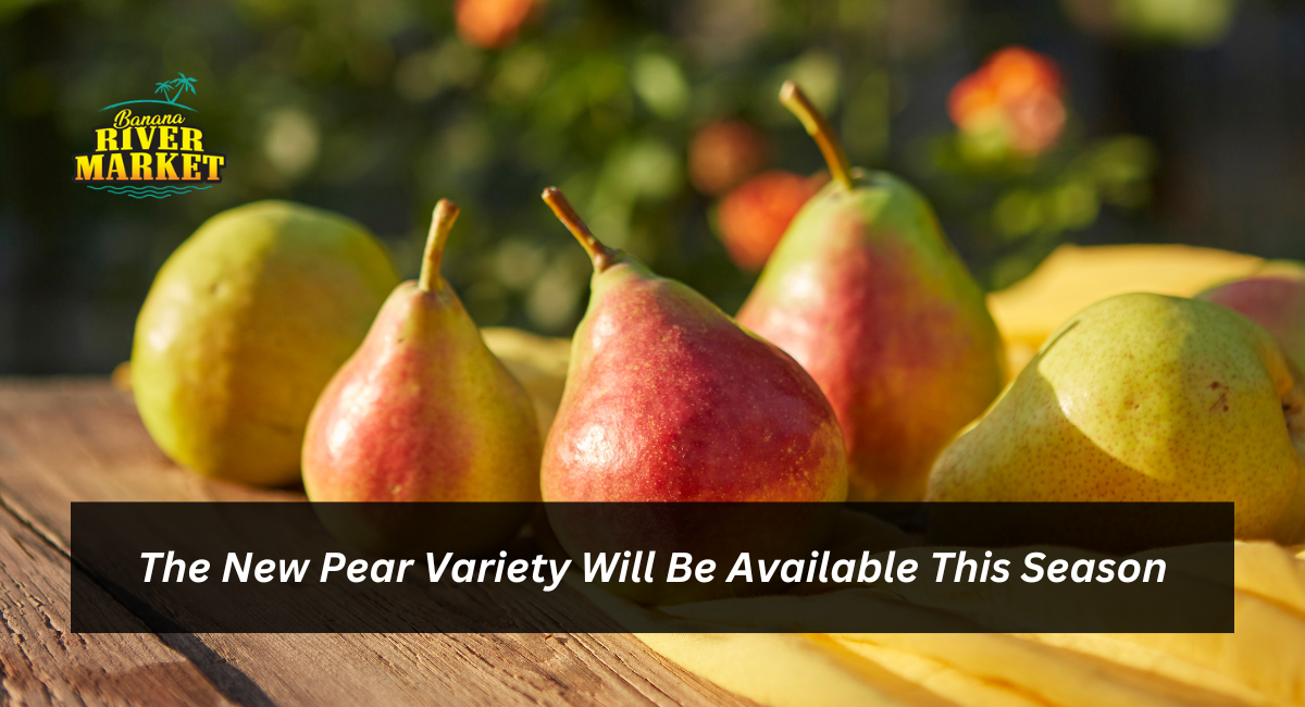 The New Pear Variety Will Be Available This Season