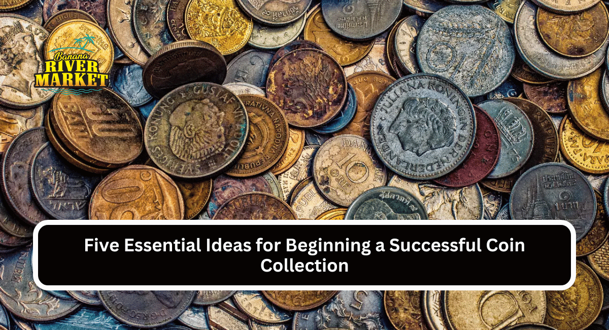 Five Essential Ideas for Beginning a Successful Coin Collection